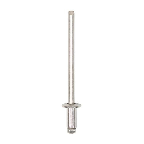 TIMCO Rivets Dome Head A2 SS 3.2 x 6 Pack 500