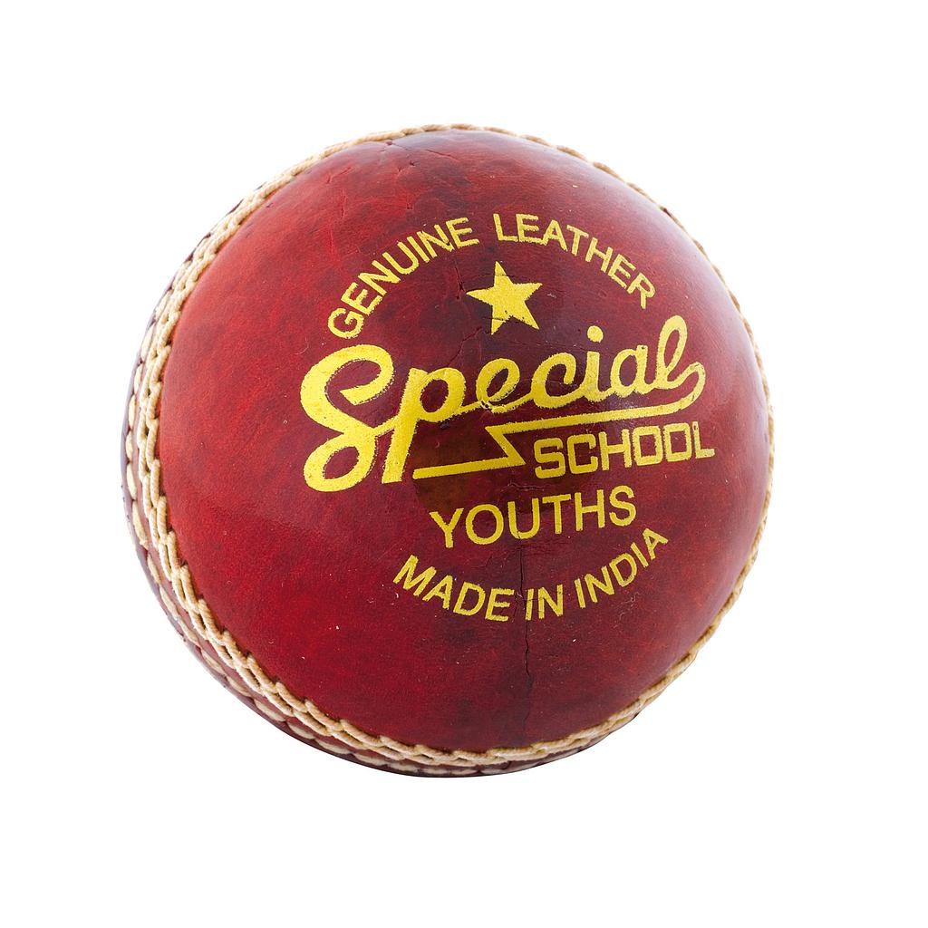 Readers Special School Cricket Ball Youths