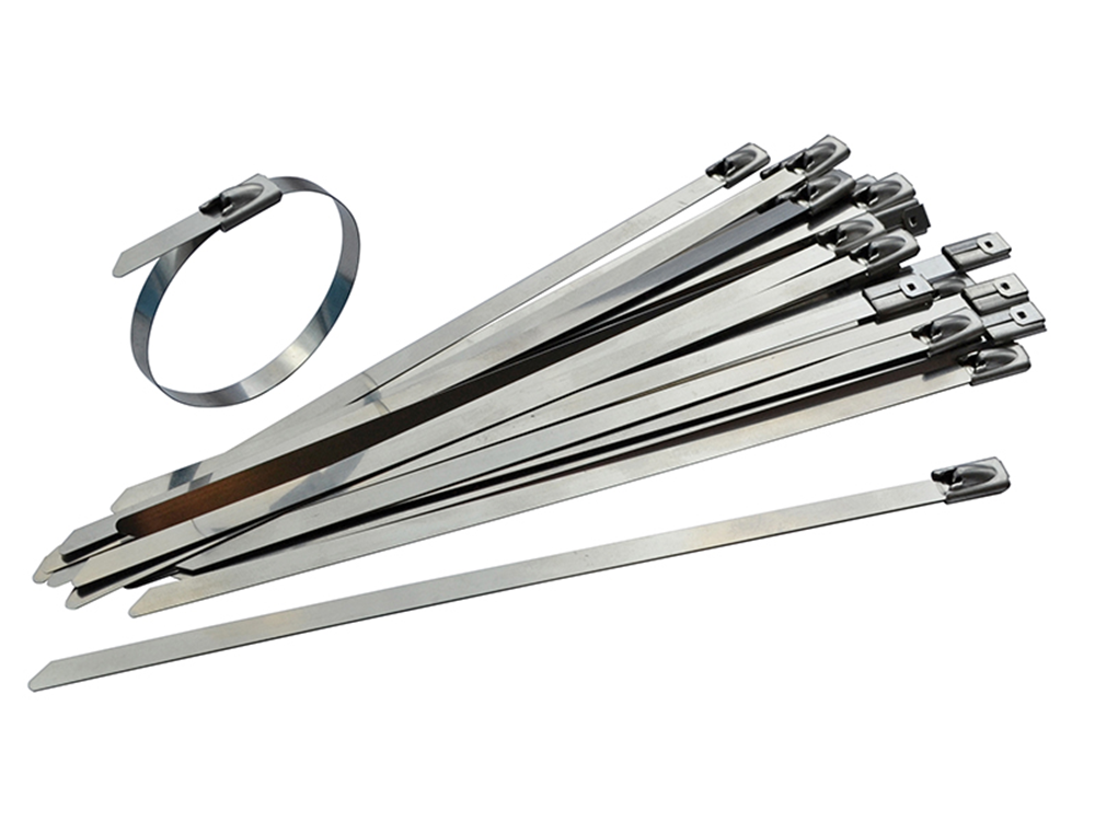 Faithfull FAICT15046SS Stainless Steel Cable Ties 4.6 x 150mm (Pack 50) |