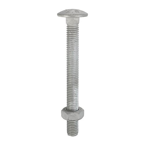 TIMCO Carriage Bolt & Hex Nut - HDG M12 x 75 Pack 25