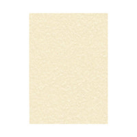 Decadry Paper 95g Parchmt Cham Pk100
