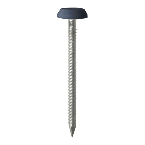 TIMCO Polymer Headed Nails A4 Stainless Steel Anthracite Grey - 100 Nails, 50mm & 65mm