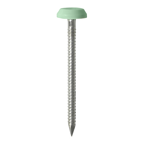 TIMCO Polymer Headed Nails A4 Stainless Steel Chartwell Green -100 Nails, 50mm 65mm