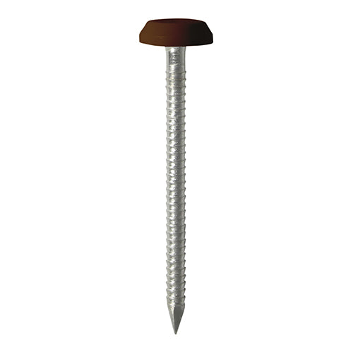 TIMCO Polymer Headed Nails A4 Stainless Steel Mahogany - 100 Nails, 50mm & 65mm