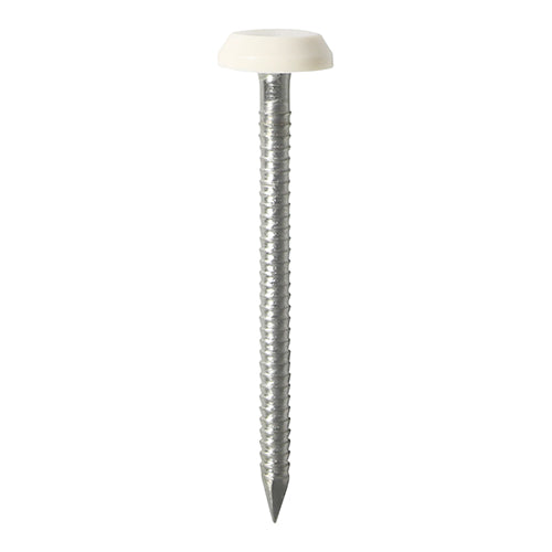 TIMCO Polymer Headed Nails A4 Stainless Steel White - 40mm to 65mm