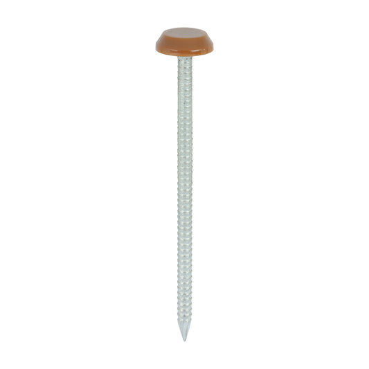 TIMCO Polymer Headed Nails A4 Stainless Steel Clay Brown -100 Nails, 50mm 65mm