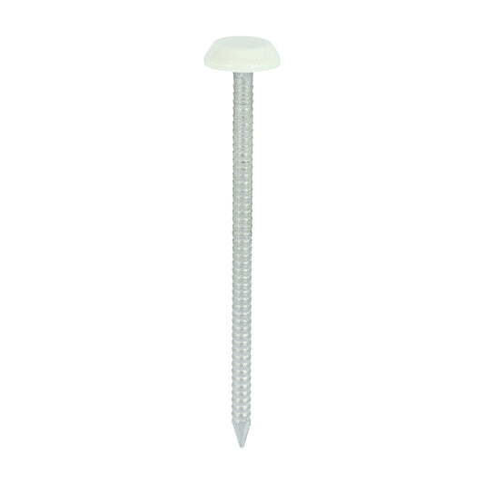 TIMCO Polymer Headed Nails A4 Stainless Steel Cream -100 Nails, 50mm 65mm
