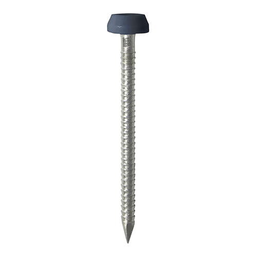 TIMCO Polymer Headed Pins A4 Stainless Steel Anthracite Grey -250 Pins, 30mm & 40mm