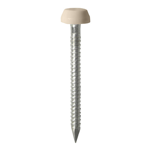 TIMCO Polymer Headed Pins A4 Stainless Steel Beige - 25mm Box OF 250 Pieces