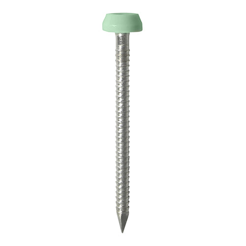 TIMCO Polymer Headed Pins A4 Stainless Steel Chartwell Green - 40mm Box OF 250 Pieces