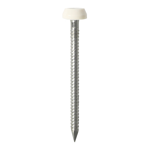 TIMCO Polymer Headed Pins A4 Stainless Steel White - 25mm to 40mm