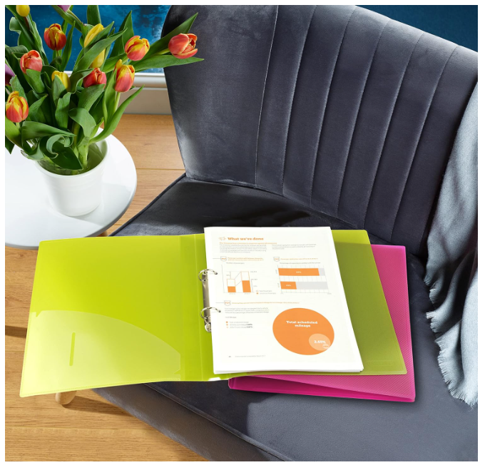 Rapesco 0716 25mm 2-Ring Bright Transparent Ring Binder A4 assorted, Pack of 10