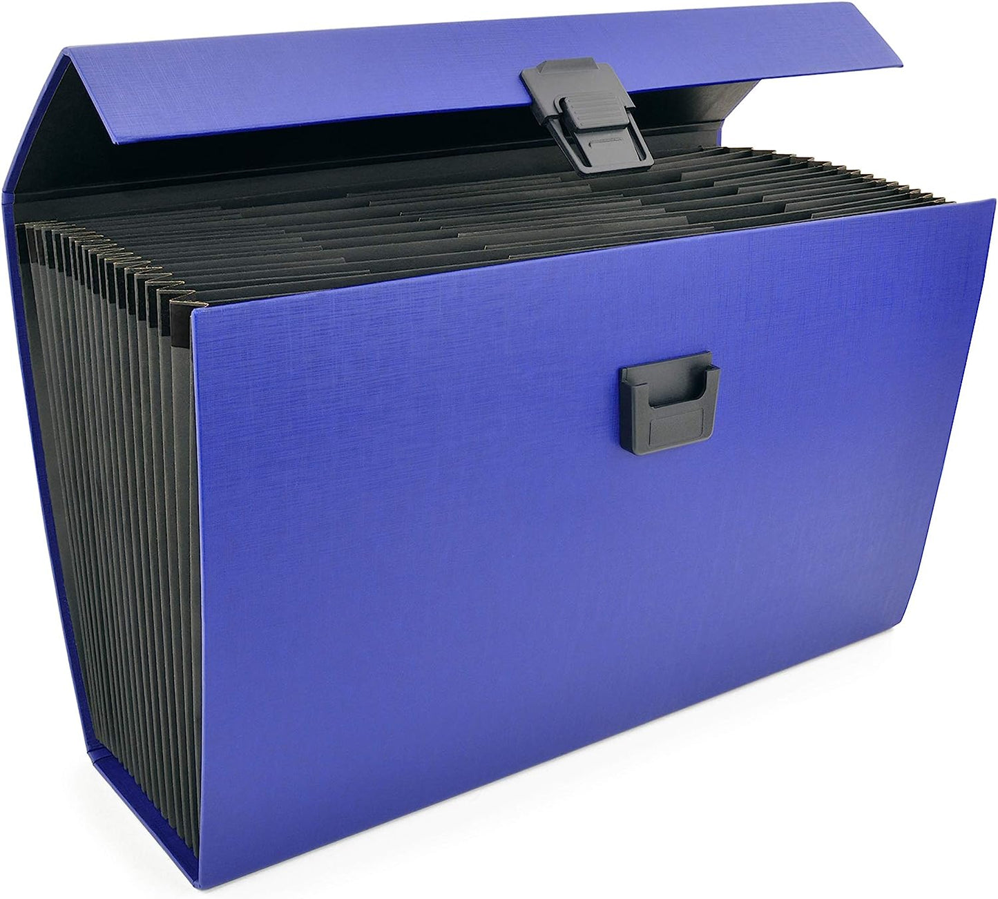 Rapesco 1553 Expanding Box File Document Organiser 19 Pocket, A4+, Blue