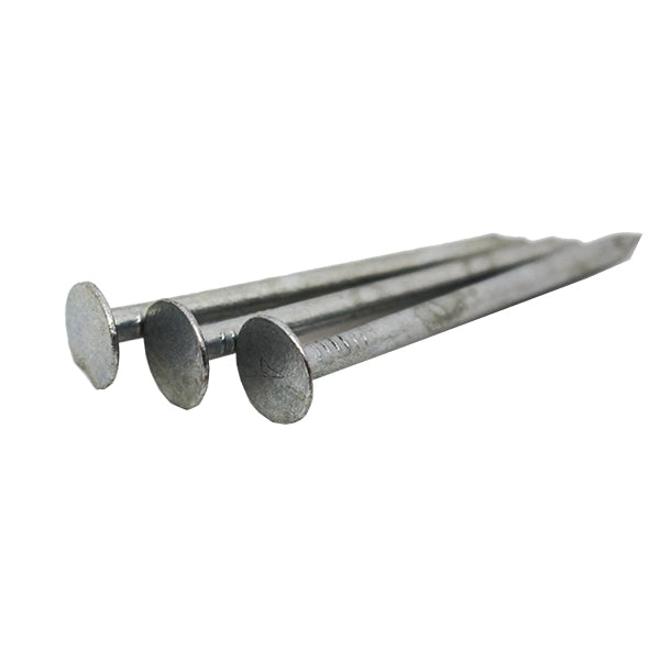Samac Trade Nails 30 x 3.00mm Loose Galvanised Extra Large Head Felt - 1KG
