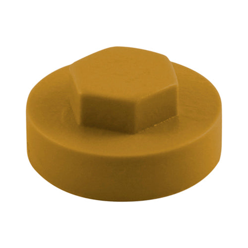 TIMCO Hex Head Cover Caps Aztec - 19mm Bag OF 1000 - 1910E55CAP