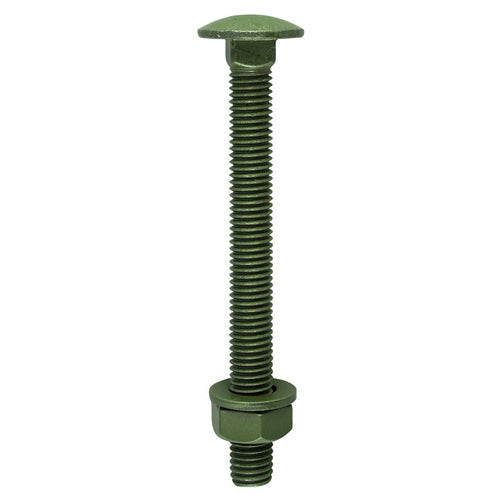 TIMCO Carriage Bolts DIN603 Hex Nuts & Form A Washers Green Exterior,All Sizes,10pcs