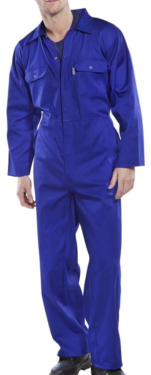 Click - REGULAR PC B/SUIT ROYAL 42 - Royal Blue