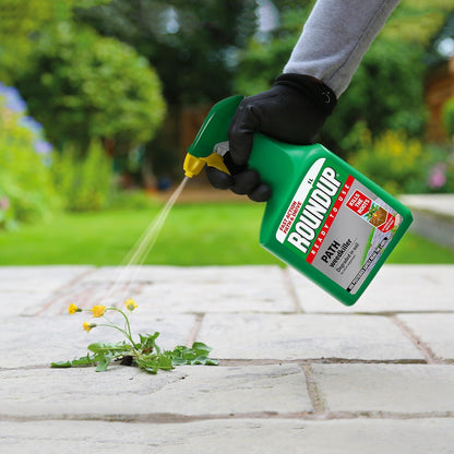 Roundup Path Weedkiller 1L Ready to Use Systemic Weed Killer for Paths Drives Patios 30m² Coverage