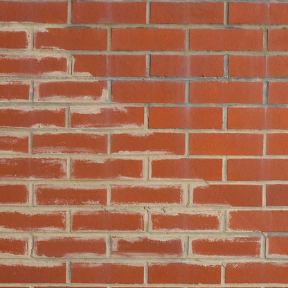 Feb Brickclean External Brick Cleaner | Cleaning and Deagreasing Solution for Brick, Concrete and Stone Surfaces - 5 Litre Feb Brickclean External Brick Cleaner | Cleaning and Deagreasing Solution for Brick, Concrete and Stone Surfaces - 5 Litre