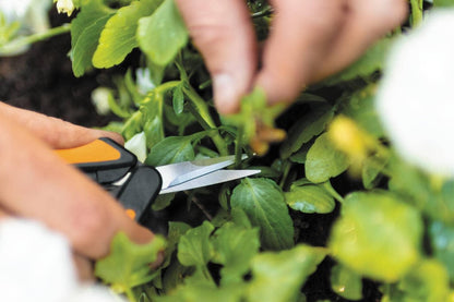 Fiskars 1051600 Solid SP13 Microtip Pruning Snips Garden Scissors