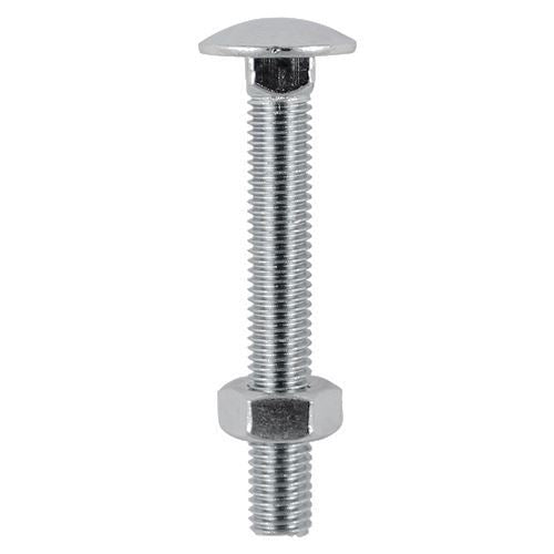 TIMCO Carriage Bolt & Hex Nut -A2 SS M10 x 100 Pack 2