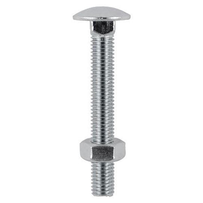 TIMCO Carriage Bolt & Hex Nut -A2 SS M10 x 100 Pack 2