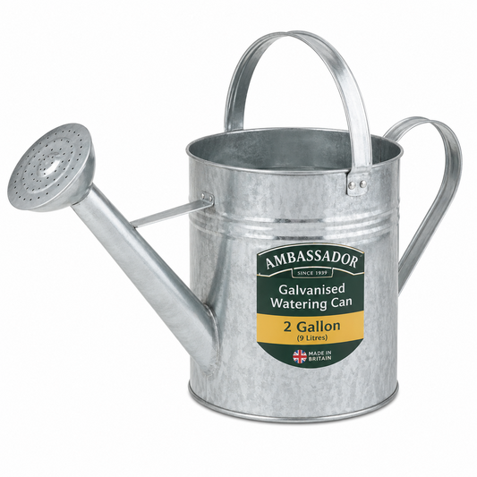 Ambassador Galvanised Watering Can 2 Gallon Traditional Metal Garden Watering Can for Plants Flowers Vegetable Beds Greenhouses and Outdoor Watering