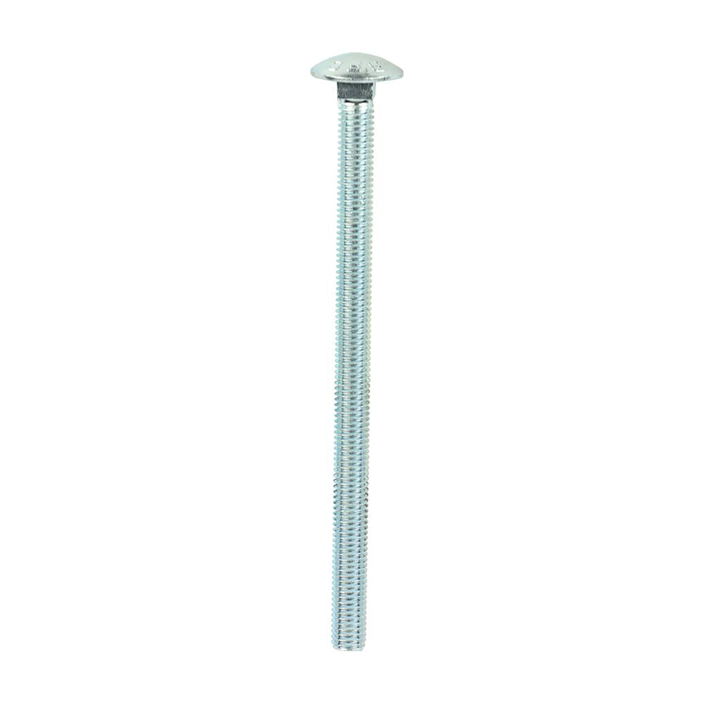 TIMCO Carriage Bolt & Hex Nut - BZP M8 x 130 Silver Pack 50