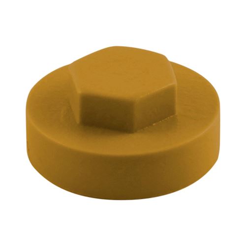 TIMCO Hex Cover Cap - Aztec 16mm Pack 1000