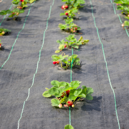 1m x 50m Heavy Duty Woven Weed Control Fabric Landscape Membrane with Free Pegs