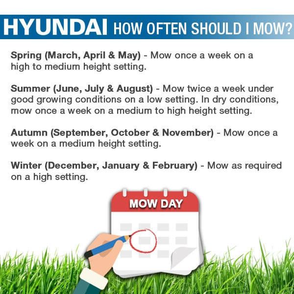 Hyundai HYM530SPR Petrol Lawn Mower 53cm 21in 196cc Self Propelled Rear Roller 70L 21"/53cm Garden Mower Garden Grass Cutting