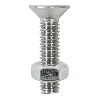 TIMCO CSK Socket & Nut - A2 SS M6 x 20 Pack 8