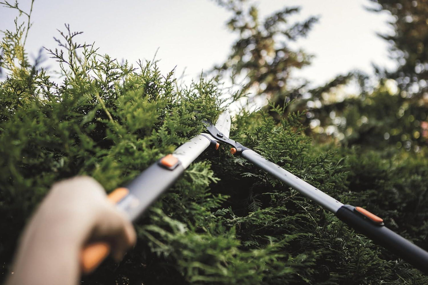 Fiskars 1013565 HS86 SmartFit Telescopic Hedge Shears Extendable Garden Trimming Shears for Hedges Shrubs Bushes and General Garden Maintenance