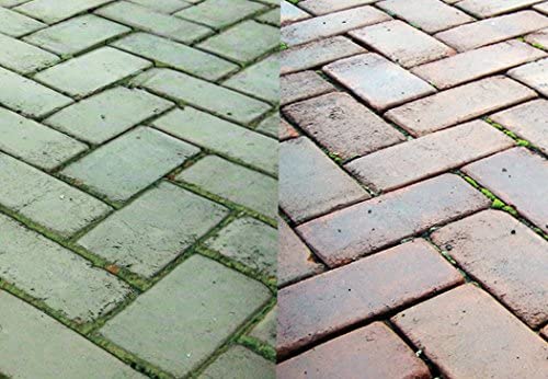 Everbuild Patio Wizard Concentrated Algae, Green Growth and Mould Killer,1 Litre