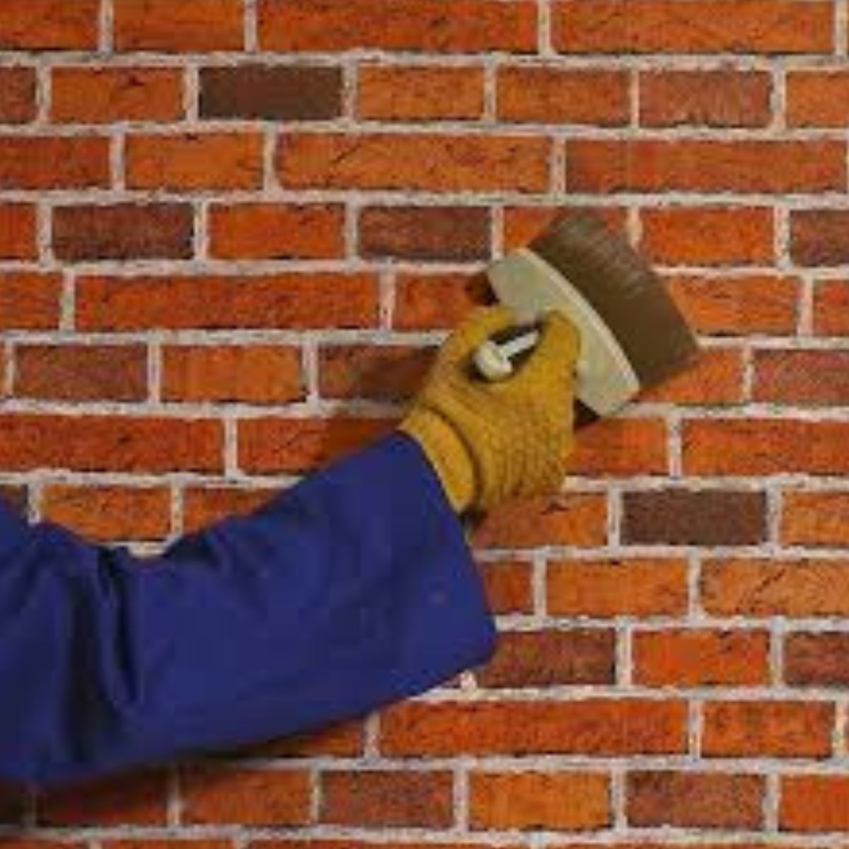 Pallet Deal 120 x Bond It BDAC5 Contractors Grade PVA Adhesive & Sealer 5L Primer Bonding Agent