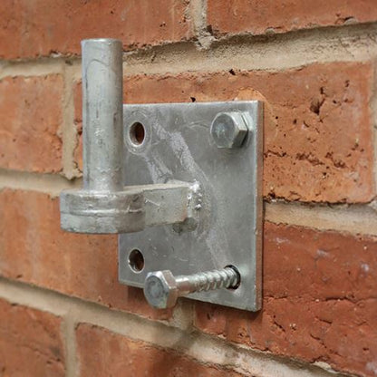 TIMCO Coach Screw & Nylon Plugs 6.0 x 60 Pack 2