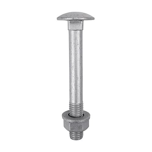 TIMCO Carriage Bolt Exterior - SO M8 x 110 Silver Pack 10