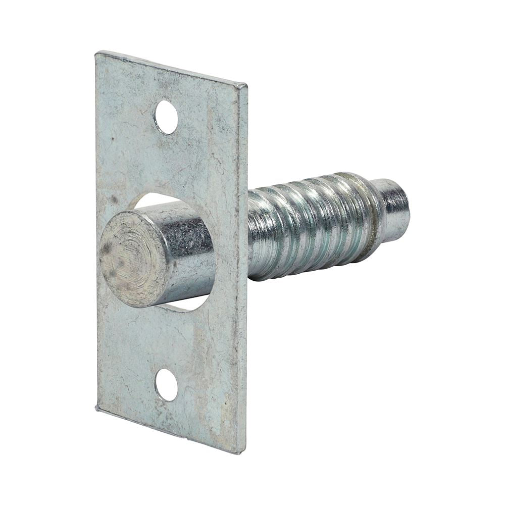 TIMCO Hinge Bolts Zinc 48mm Pack 2