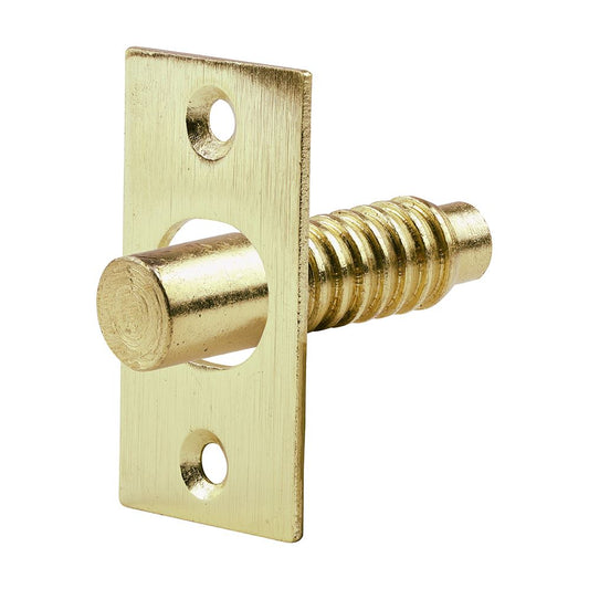 TIMCO Hinge Bolts Electro Brass 48mm Pack 2