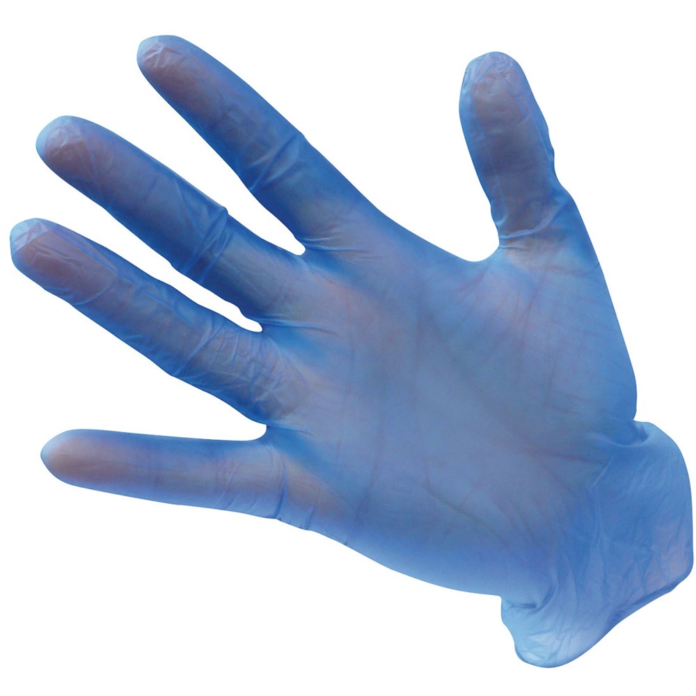 Portwest A905BLUL -  sz L Powder Free Vinyl Disposable Glove - Blue