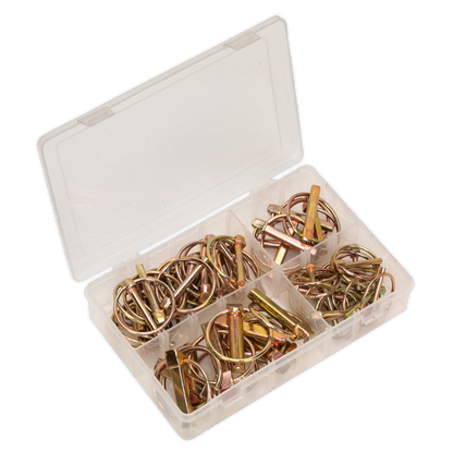 SEALEY - AB022LP Linch Pin Assortment 50pc Metric