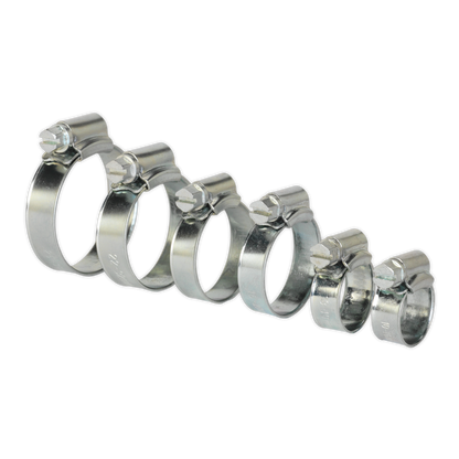 SEALEY - SHCS1 Hose Clip Assortment 30pc �8-29mm Zinc Plated
