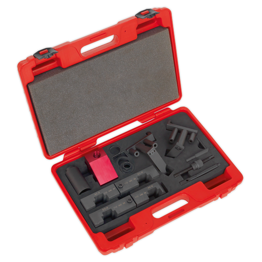 SEALEY - VSE5555 Petrol Engine Timing Tool Kit - for BMW, Land Rover, Morgan - Chain Drive