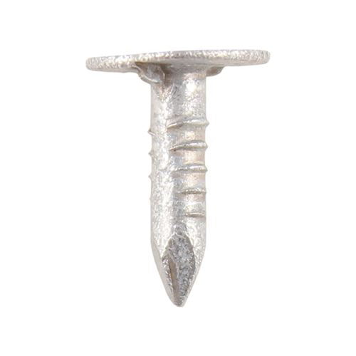 TIMCO Clout Nail ELH - Galvanised 40 x 3.00 Pack 0.5
