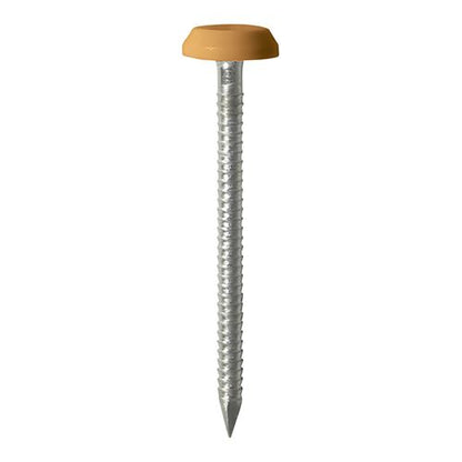 TIMCO Polymer Headed Nail OAK 50mm Pack 100