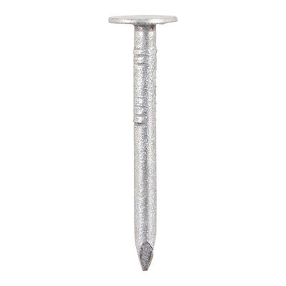TIMCO Clout Nail - Galvanised 65 x 3.75 Pack 0.5