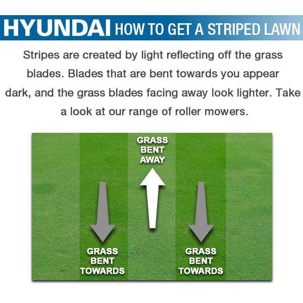 Hyundai HYM530SPR Petrol Lawn Mower 53cm 21in 196cc Self Propelled Rear Roller 70L 21"/53cm Garden Mower Garden Grass Cutting