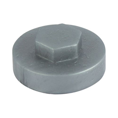 TIMCO Hex Cover Cap - Dark Silver 19mm Silver Pack 1000