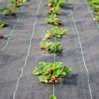 Yuzet Heavy Duty Weed Control Ground Cover Membrane Landscape Fabric - 1m / 2m / 3m / 4m / 5m Widths
