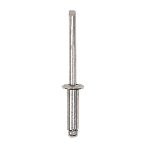 TIMCO Rivets - Dome Head - SS 4.8 x 16 Pack 37